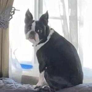 Meet your Posher, Felix